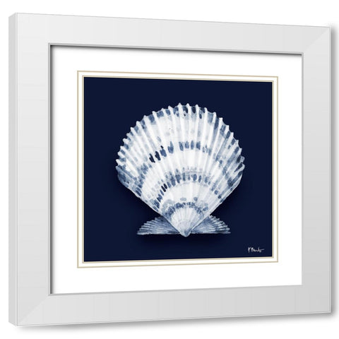 Grenada Shells II - Midnight White Modern Wood Framed Art Print with Double Matting by Brent, Paul