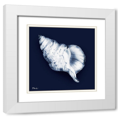 Grenada Shells III - Midnight White Modern Wood Framed Art Print with Double Matting by Brent, Paul