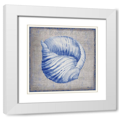 Grenada Shells IV - Linen White Modern Wood Framed Art Print with Double Matting by Brent, Paul