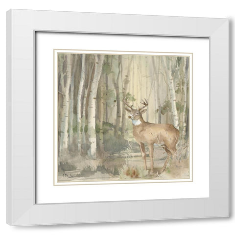 Birch Forest II White Modern Wood Framed Art Print with Double Matting by Brent, Paul