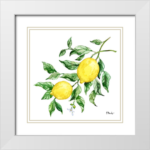 Sicilian Lemons IV White Modern Wood Framed Art Print with Double Matting by Brent, Paul