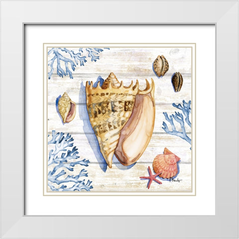 Bahia Shells Wood II White Modern Wood Framed Art Print with Double Matting by Brent, Paul
