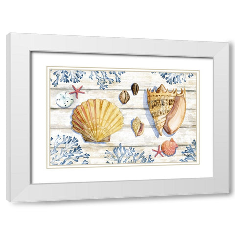 Bahia Shells Wood Horizontal White Modern Wood Framed Art Print with Double Matting by Brent, Paul