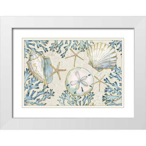 Playa Shells Horizontal White Modern Wood Framed Art Print with Double Matting by Brent, Paul