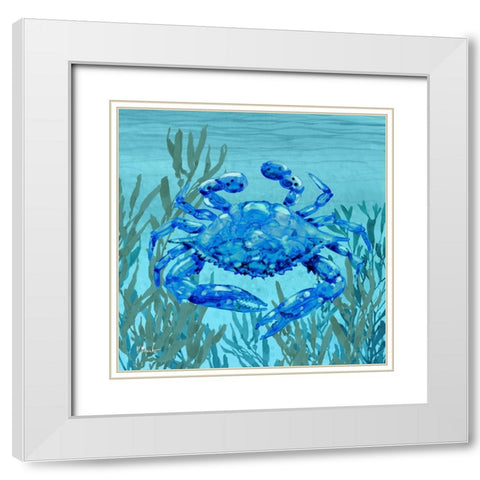 Tonga Sealife III White Modern Wood Framed Art Print with Double Matting by Brent, Paul