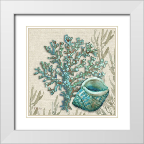 Crescent Beach Shells III White Modern Wood Framed Art Print with Double Matting by Brent, Paul