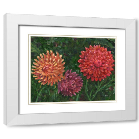 Impressions of Dahlias Horizontal II White Modern Wood Framed Art Print with Double Matting by Brent, Paul