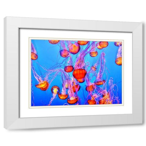 Abstract 7 White Modern Wood Framed Art Print with Double Matting by Lee, Rachel