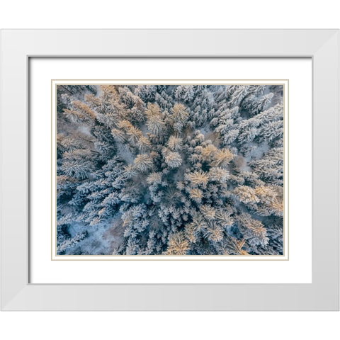 Aerial 11 White Modern Wood Framed Art Print with Double Matting by Lee, Rachel