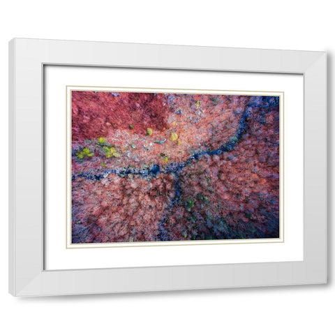 Aerial 2 White Modern Wood Framed Art Print with Double Matting by Lee, Rachel