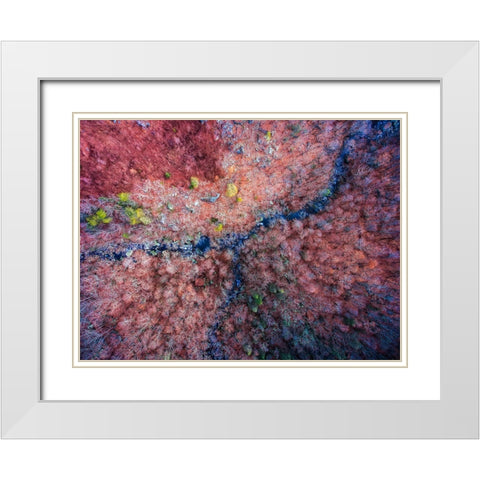 Aerial 2 White Modern Wood Framed Art Print with Double Matting by Lee, Rachel