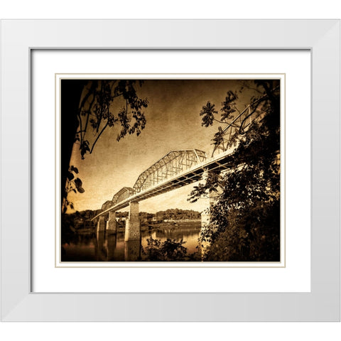 Afternoon Walnut White Modern Wood Framed Art Print with Double Matting by Lee, Rachel