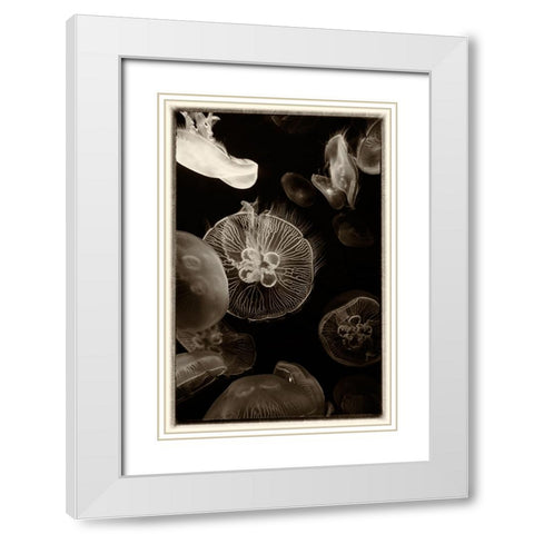 Antique Jellies 4 White Modern Wood Framed Art Print with Double Matting by Lee, Rachel