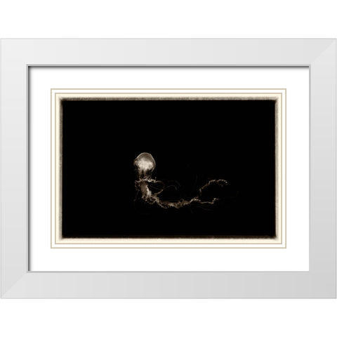 Antique Jellies 6 White Modern Wood Framed Art Print with Double Matting by Lee, Rachel