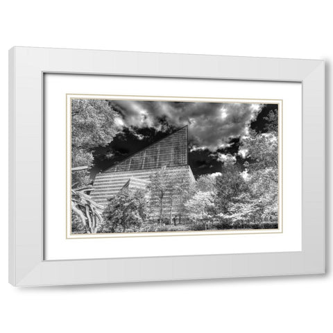 Aquarium 2 HDR BW White Modern Wood Framed Art Print with Double Matting by Lee, Rachel