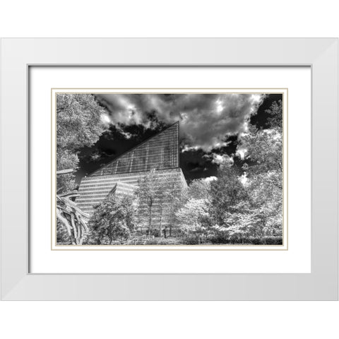 Aquarium 2 HDR BW White Modern Wood Framed Art Print with Double Matting by Lee, Rachel