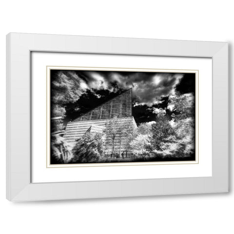 Aquarium 2 HDR BW Holga White Modern Wood Framed Art Print with Double Matting by Lee, Rachel