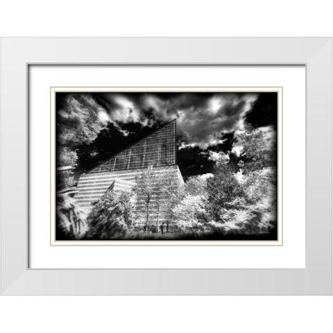 Aquarium 2 HDR BW Holga White Modern Wood Framed Art Print with Double Matting by Lee, Rachel