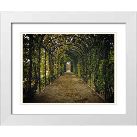 Architectural 3 White Modern Wood Framed Art Print with Double Matting by Lee, Rachel