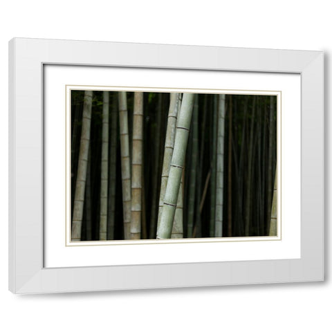 Bamboo White Modern Wood Framed Art Print with Double Matting by Lee, Rachel