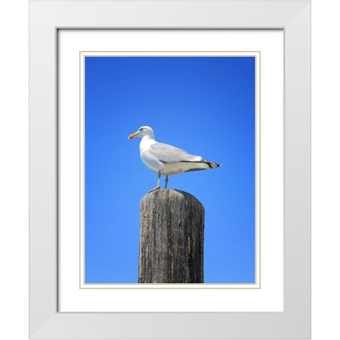 Beach 27 White Modern Wood Framed Art Print with Double Matting by Lee, Rachel