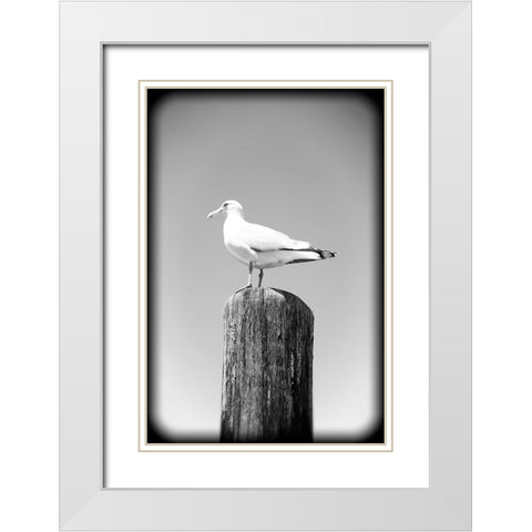 Beach 27 BW Holga White Modern Wood Framed Art Print with Double Matting by Lee, Rachel