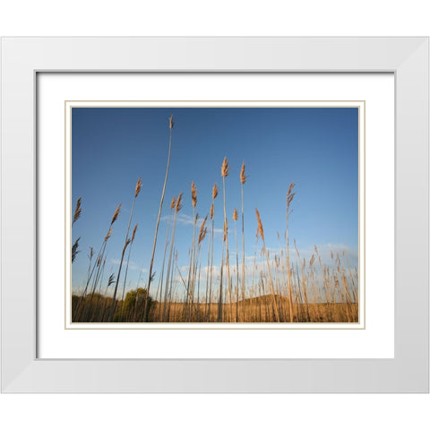 Beach 7 White Modern Wood Framed Art Print with Double Matting by Lee, Rachel