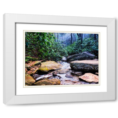 Benton Falls 2 White Modern Wood Framed Art Print with Double Matting by Lee, Rachel