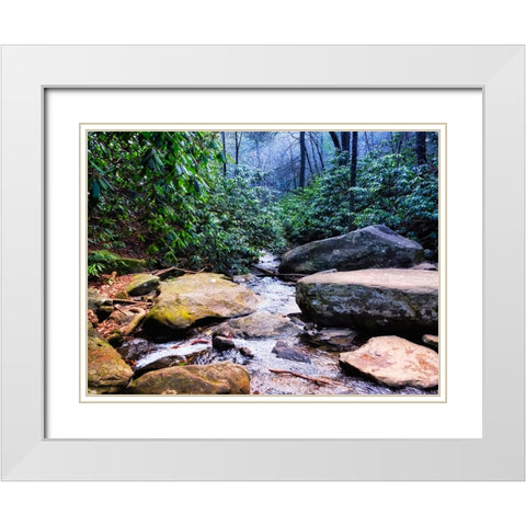 Benton Falls 2 White Modern Wood Framed Art Print with Double Matting by Lee, Rachel