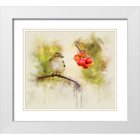 Bird 1 Watercolor White Modern Wood Framed Art Print with Double Matting by Lee, Rachel