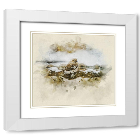 Bird 12 Watercolor White Modern Wood Framed Art Print with Double Matting by Lee, Rachel
