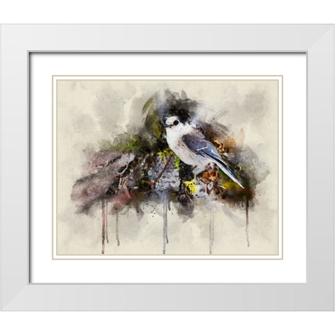 Bird 13 Watercolor White Modern Wood Framed Art Print with Double Matting by Lee, Rachel