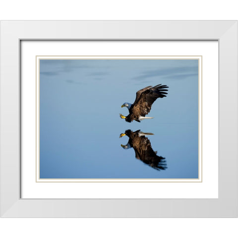 Bird 16 White Modern Wood Framed Art Print with Double Matting by Lee, Rachel