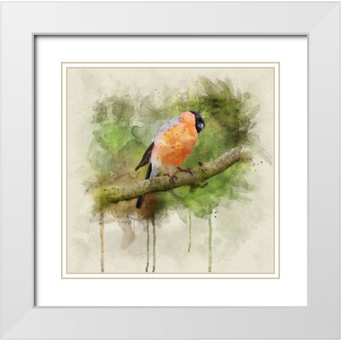 Bird 2 Watercolor White Modern Wood Framed Art Print with Double Matting by Lee, Rachel