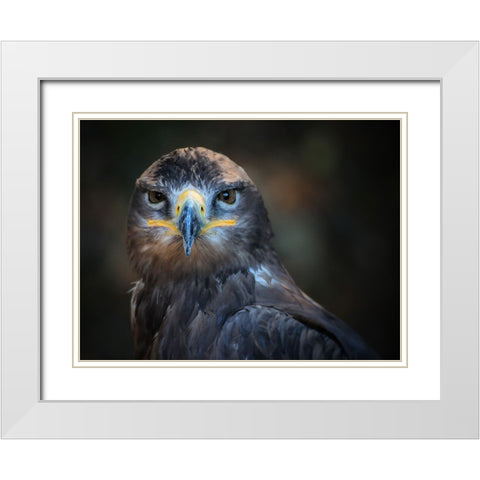 Bird 20 White Modern Wood Framed Art Print with Double Matting by Lee, Rachel