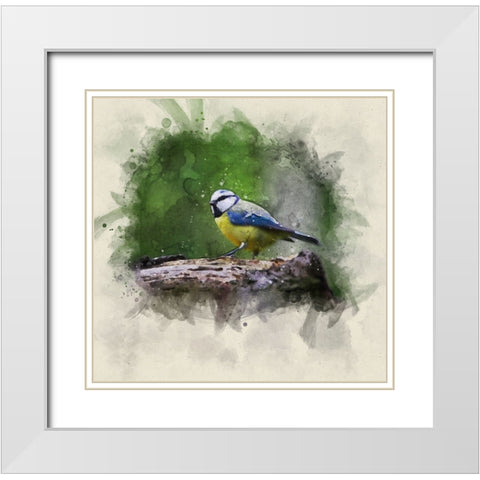 Bird 22 Watercolor White Modern Wood Framed Art Print with Double Matting by Lee, Rachel