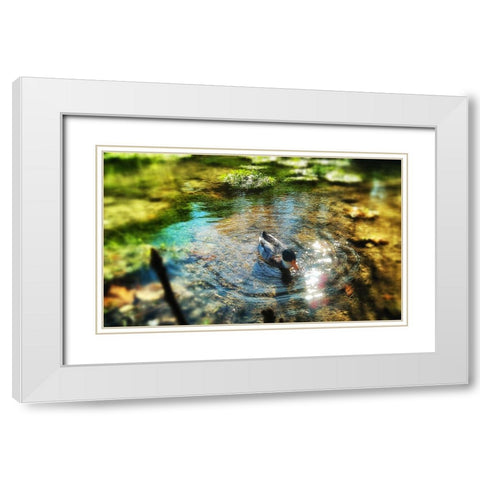 Bird 34 White Modern Wood Framed Art Print with Double Matting by Lee, Rachel