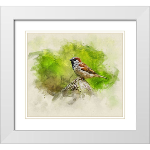 Bird 5 Watercolor White Modern Wood Framed Art Print with Double Matting by Lee, Rachel