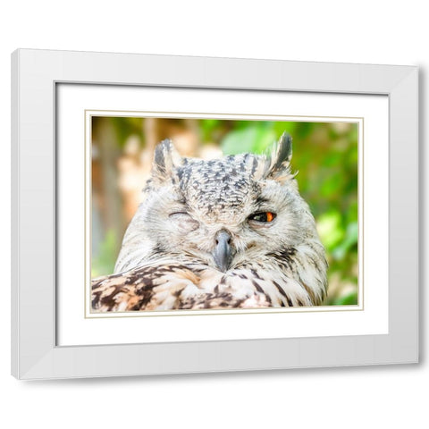 Bird 56 White Modern Wood Framed Art Print with Double Matting by Lee, Rachel