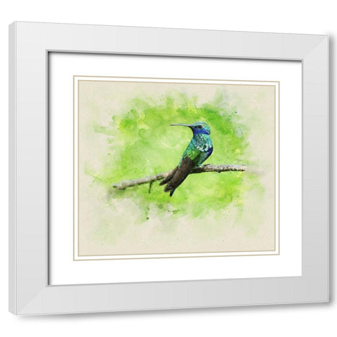 Bird 6 Watercolor White Modern Wood Framed Art Print with Double Matting by Lee, Rachel