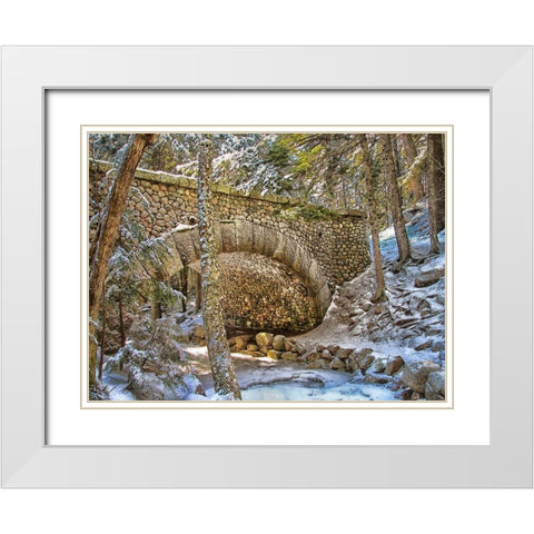 Bridge 1 White Modern Wood Framed Art Print with Double Matting by Lee, Rachel