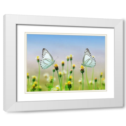 Butterfly 10 White Modern Wood Framed Art Print with Double Matting by Lee, Rachel