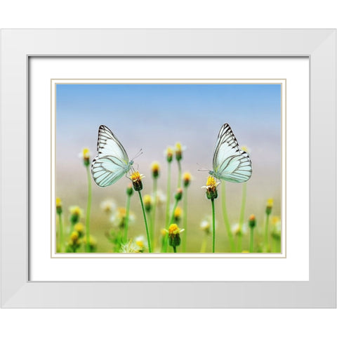 Butterfly 10 White Modern Wood Framed Art Print with Double Matting by Lee, Rachel