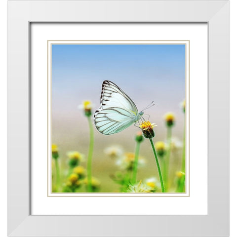 Butterfly 10 Dyptych Panel 1 White Modern Wood Framed Art Print with Double Matting by Lee, Rachel