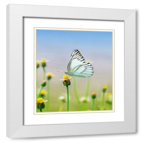Butterfly 10 Dyptych Panel 2 White Modern Wood Framed Art Print with Double Matting by Lee, Rachel