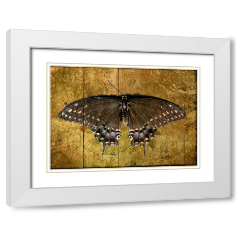 Butterfly 2 White Modern Wood Framed Art Print with Double Matting by Lee, Rachel