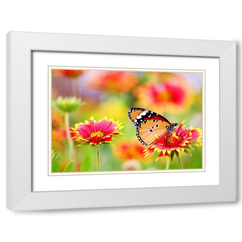 Butterfly 6 White Modern Wood Framed Art Print with Double Matting by Lee, Rachel