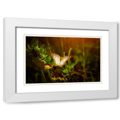 Butterfly 7 White Modern Wood Framed Art Print with Double Matting by Lee, Rachel