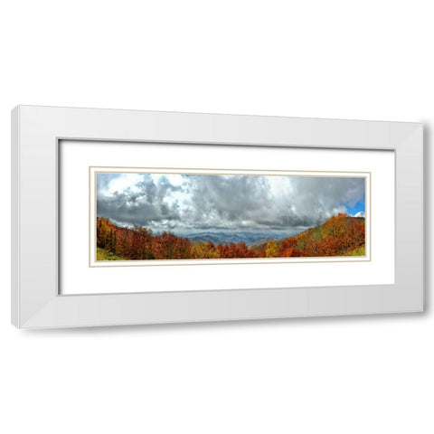 Cherohala Pano White Modern Wood Framed Art Print with Double Matting by Lee, Rachel