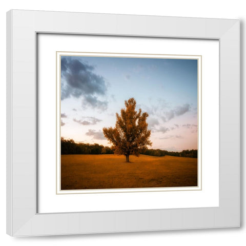 Chickamauga 15 White Modern Wood Framed Art Print with Double Matting by Lee, Rachel